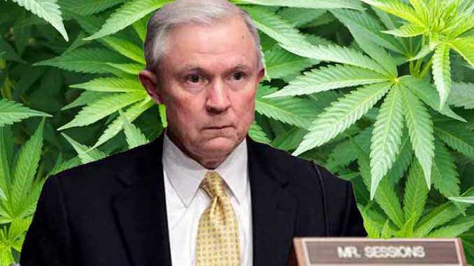 sessions and weed