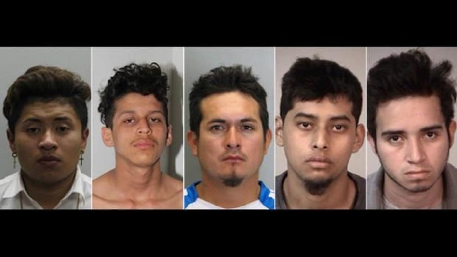 Five MS 13 arrested