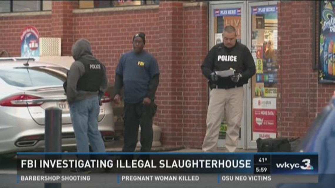 Illegal slaughterhouse